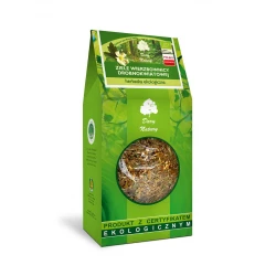 Import produktów XML malowia.pl